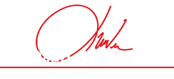 Ing. Vladimír Duda - fotograf